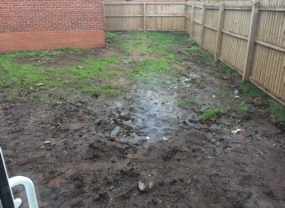 Flooded Persimmon garden due to compacted sub soil